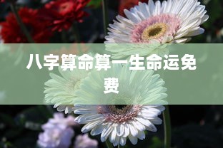 八字算命算一生命运免费