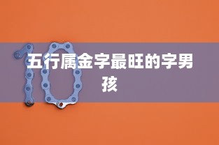 五行属金字最旺的字男孩