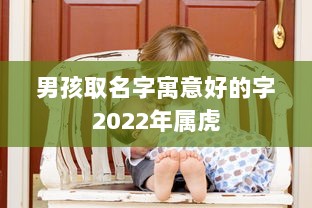 男孩取名字寓意好的字2022年属虎