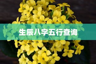 生辰八字五行查询