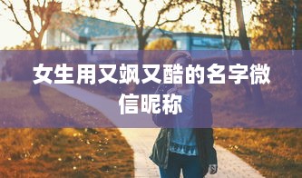 女生用又飒又酷的名字微信昵称