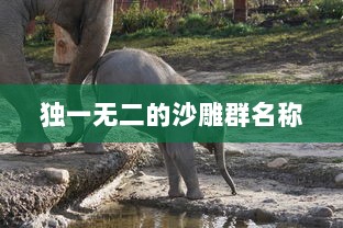 独一无二的沙雕群名称