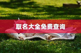 取名大全免费查询