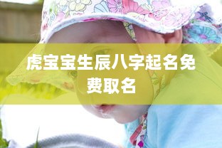 虎宝宝生辰八字起名免费取名