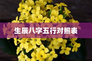 生辰八字五行对照表