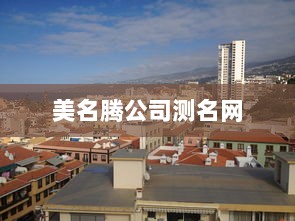 美名腾公司测名网