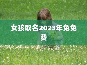 女孩取名2023年兔免费 第1张 女孩取名2023年兔免费 第1张