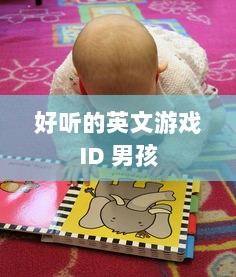 好听的英文游戏ID 男孩