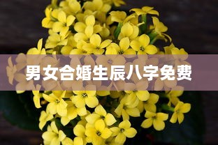 男女合婚生辰八字免费