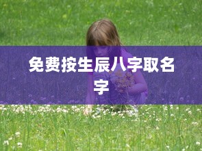 免费按生辰八字取名字