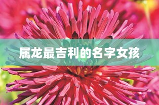 属龙最吉利的名字女孩