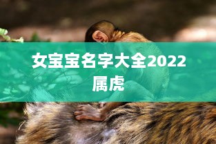 女宝宝名字大全2022属虎
