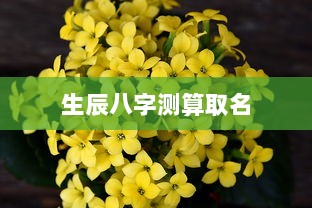 生辰八字测算取名