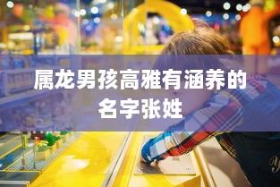 属龙男孩高雅有涵养的名字张姓