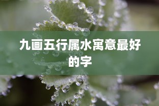 九画五行属水寓意最好的字