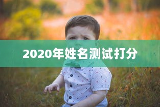 2020年姓名测试打分