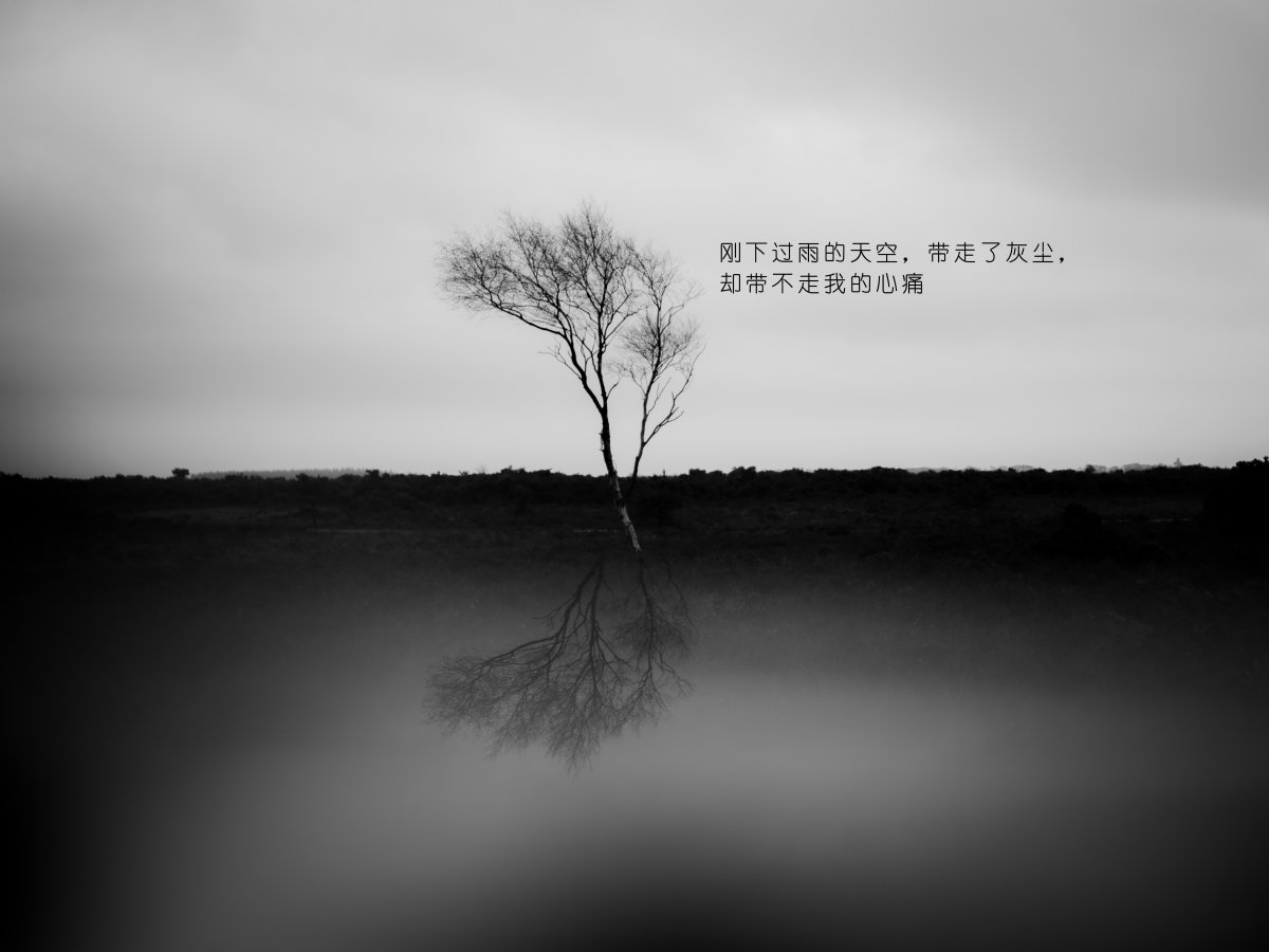 所有的痛苦都会过去