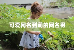 可爱网名到萌的网名男