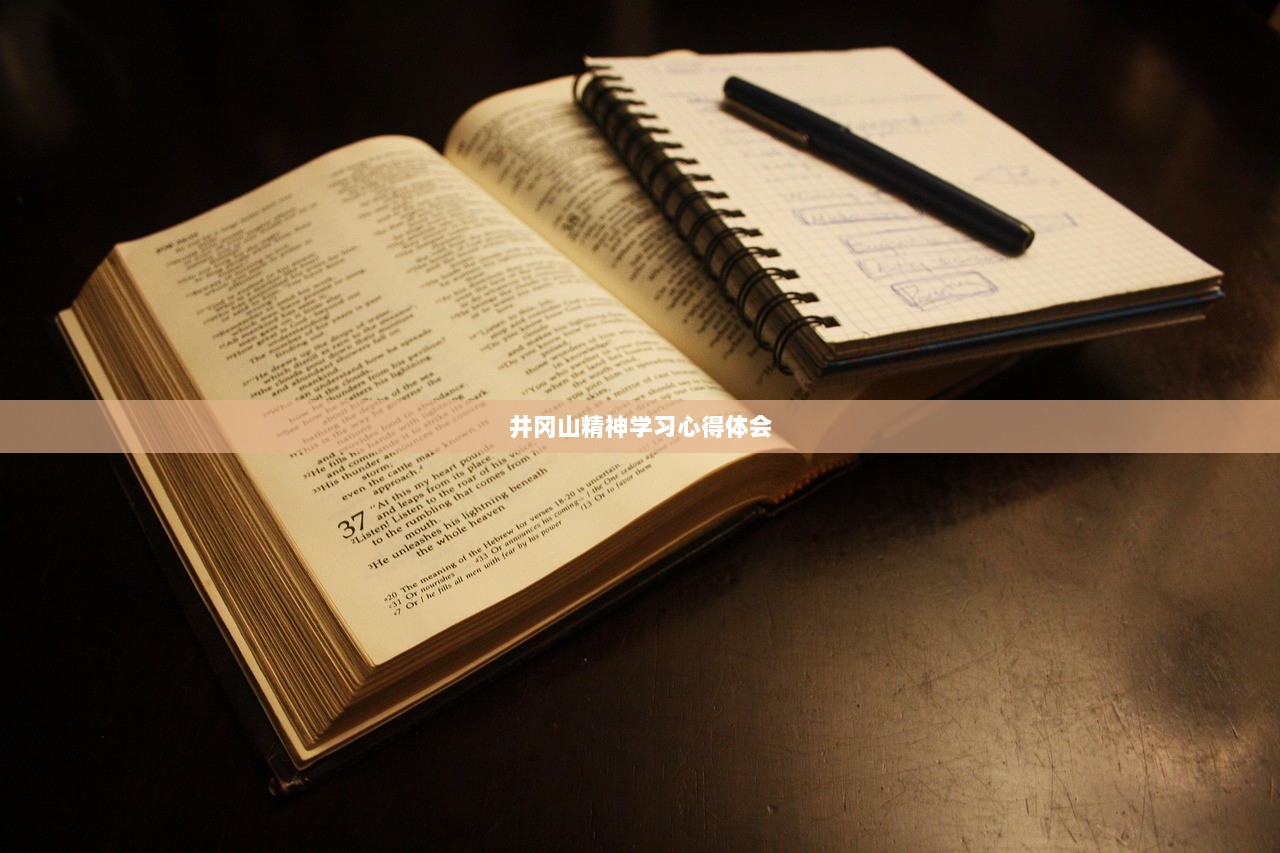 井冈山精神学习心得体会