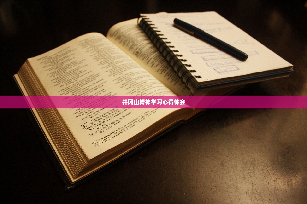 井冈山精神学习心得体会