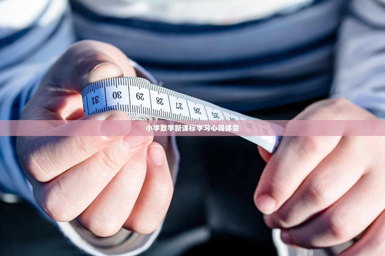 小学数学新课标学习心得体会  第1张