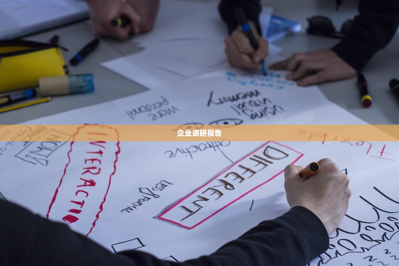 企业调研报告