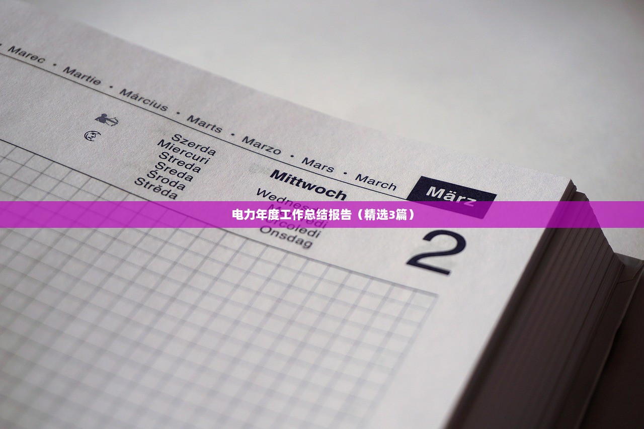电力年度工作总结报告（精选3篇）