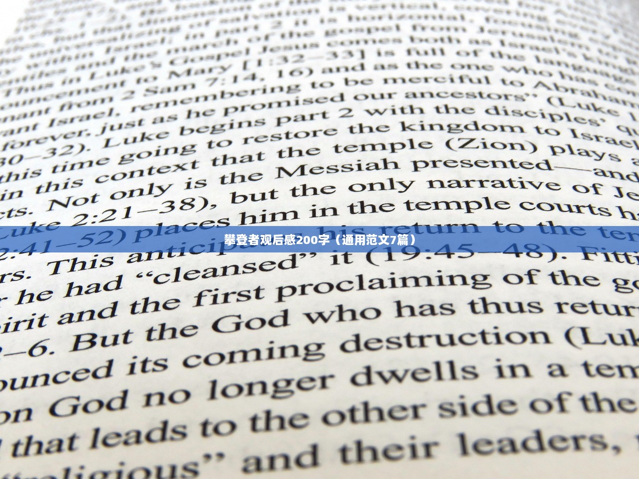 攀登者观后感200字（通用范文7篇）  第1张