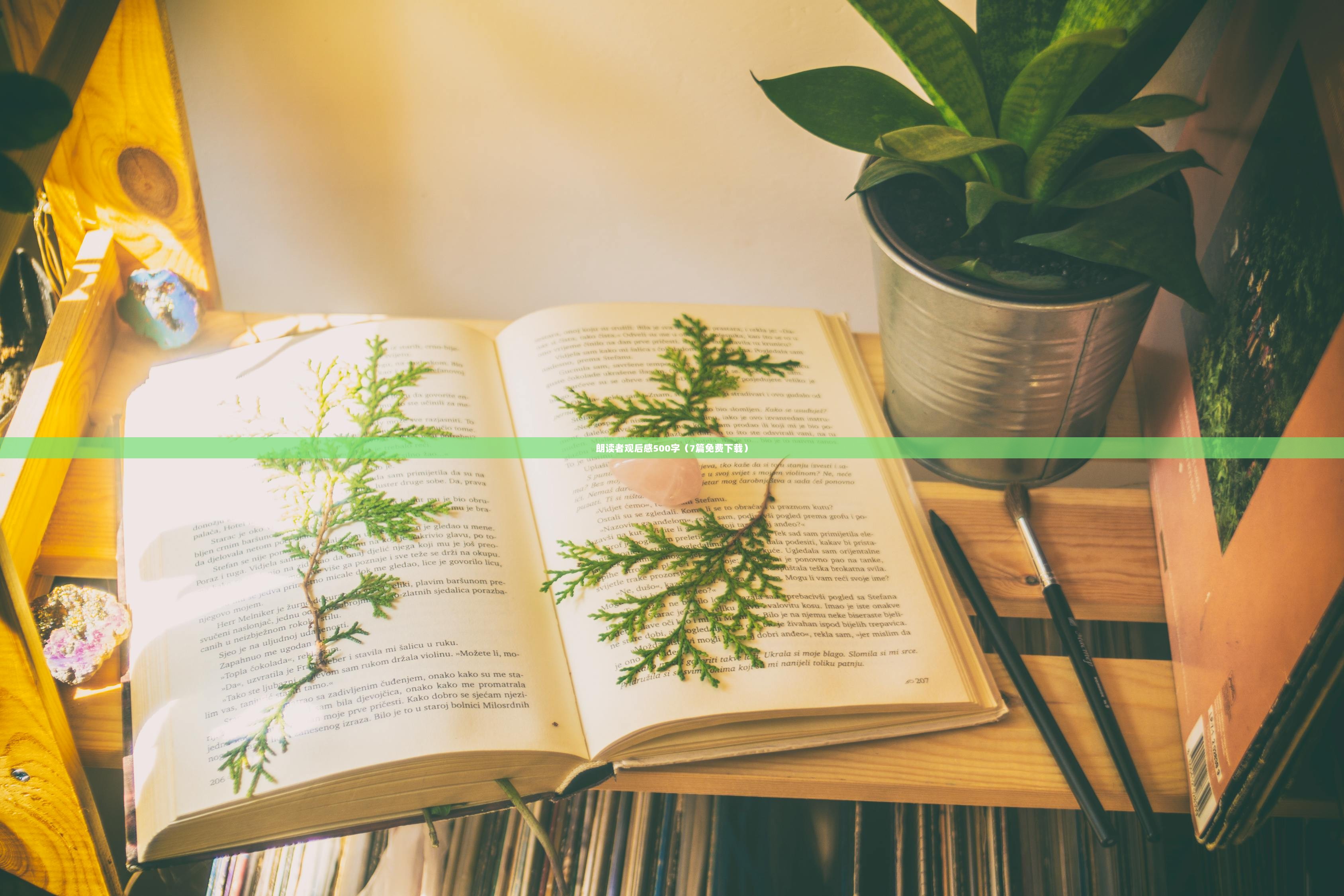 朗读者观后感500字（7篇免费下载）  第1张