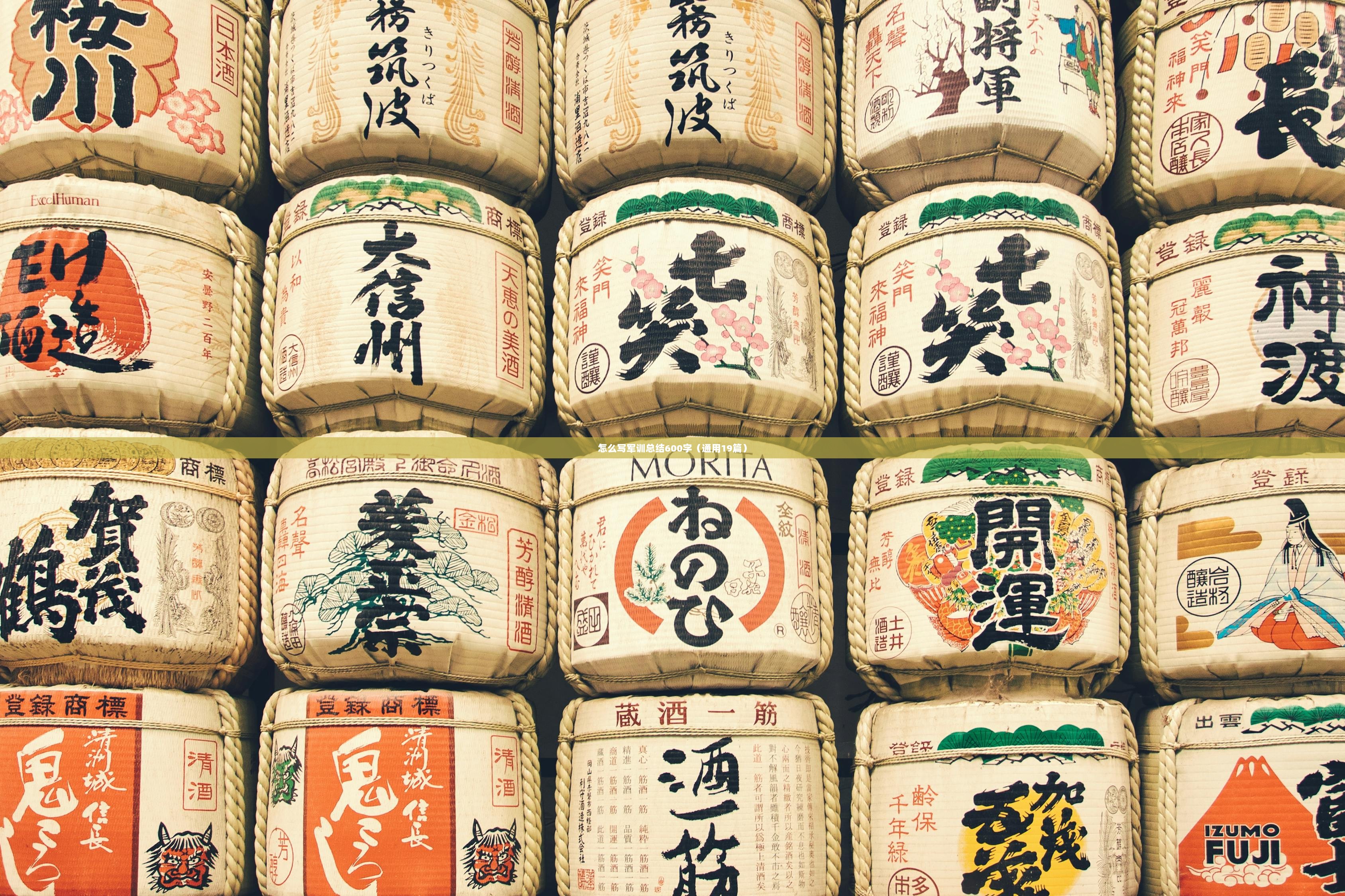 怎么写军训总结600字（通用19篇）