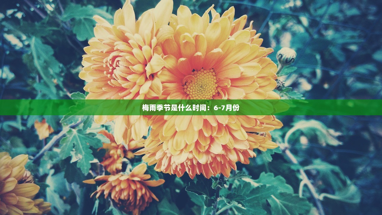 梅雨季节是什么时间:6-7月份 第1张 梅雨季节是什么时间:6-7月份 第1张