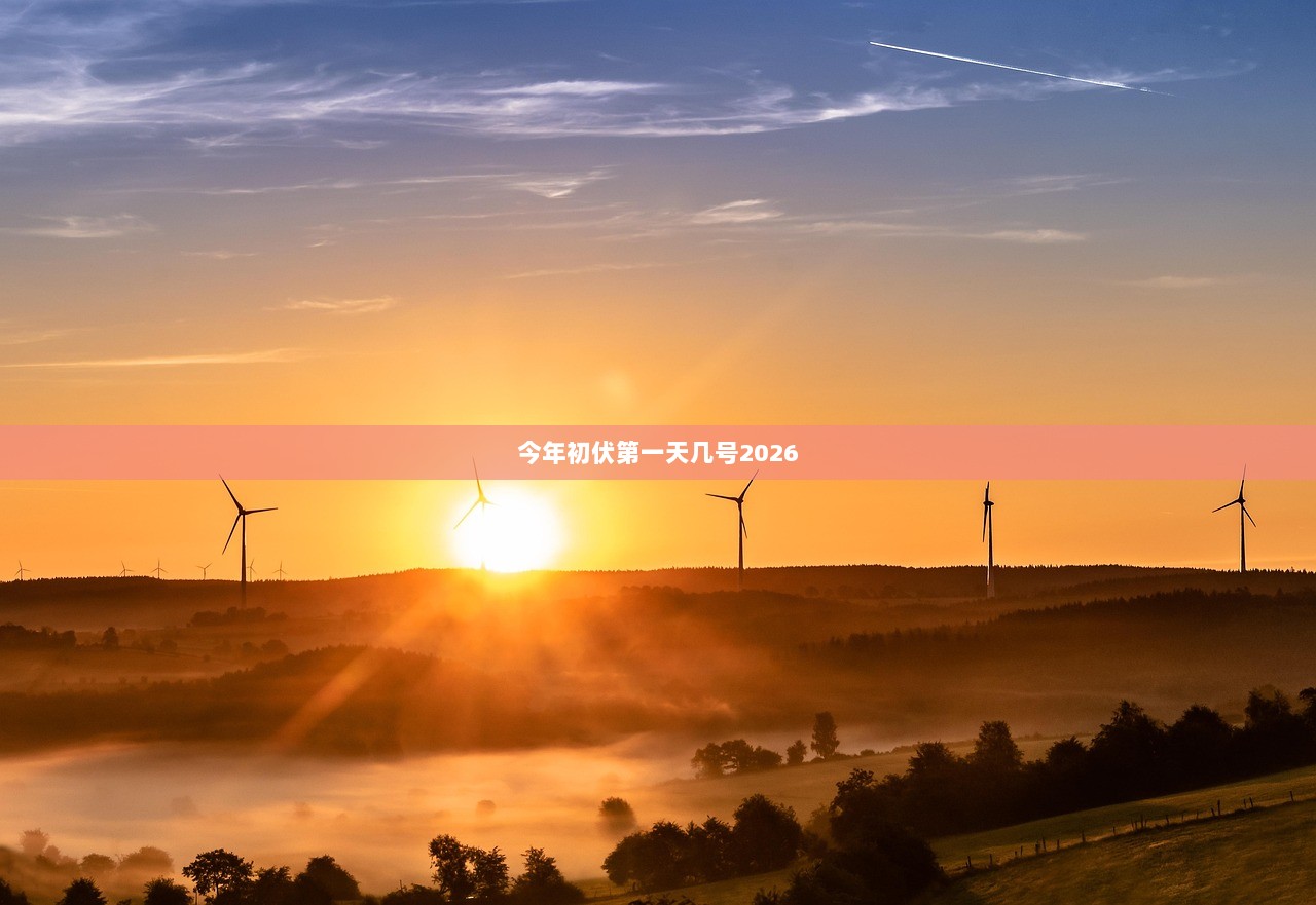 今年初伏第一天几号2026  第1张