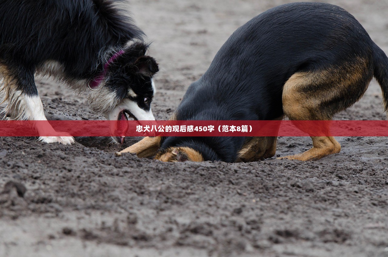 忠犬八公的观后感450字（范本8篇）