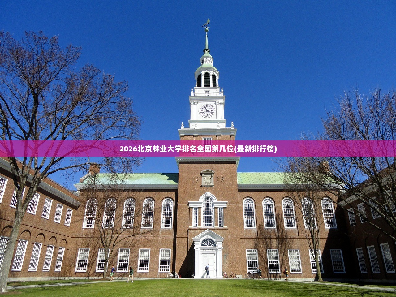 2026北京林业大学排名全国第几位(最新排行榜) 第1张 2026北京林业大学排名全国第几位(最新排行榜) 第1张