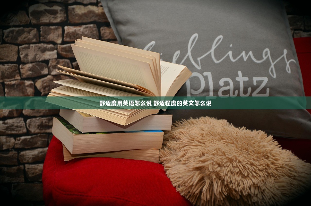 舒适度用英语怎么说 舒适程度的英文怎么说 第1张 舒适度用英语怎么说 舒适程度的英文怎么说 第1张