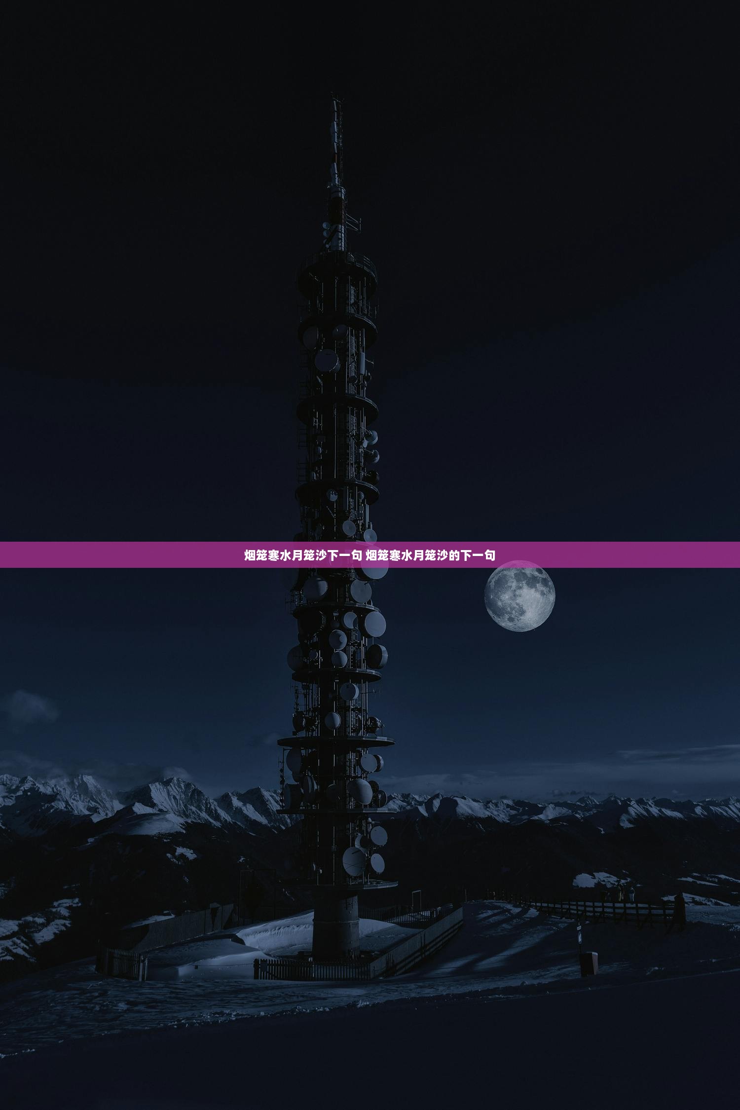 烟笼寒水月笼沙下一句 烟笼寒水月笼沙的下一句  第1张