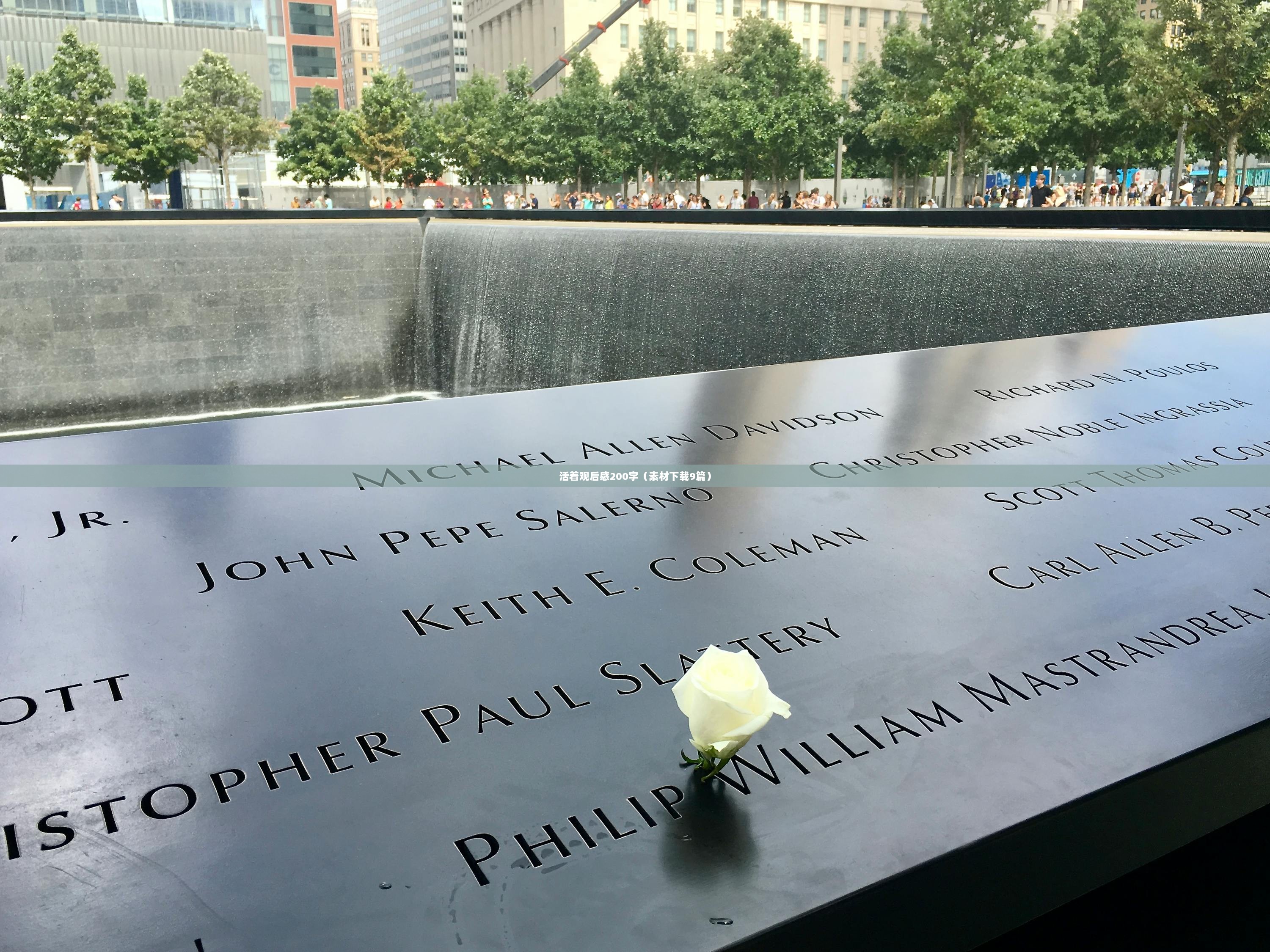 活着观后感200字（素材下载9篇）  第1张