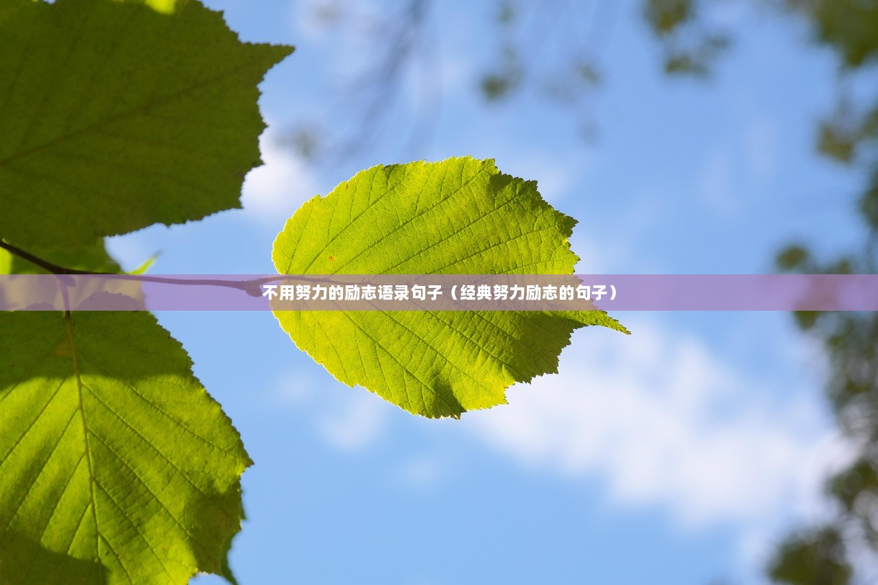 不用努力的励志语录句子（经典努力励志的句子）