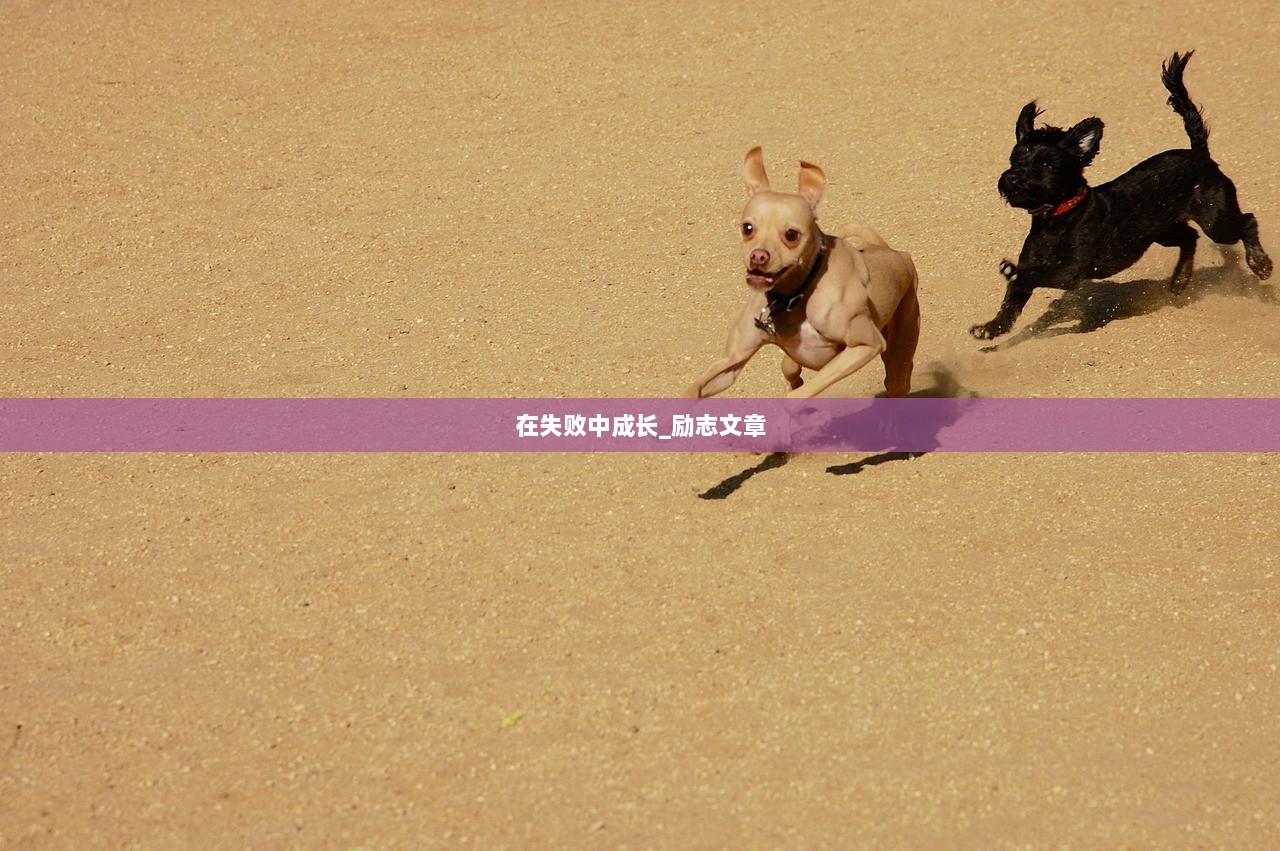 在失败中成长_励志文章