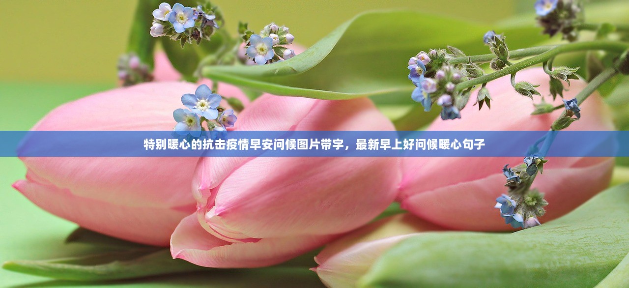 特别暖心的抗击疫情早安问候图片带字，最新早上好问候暖心句子