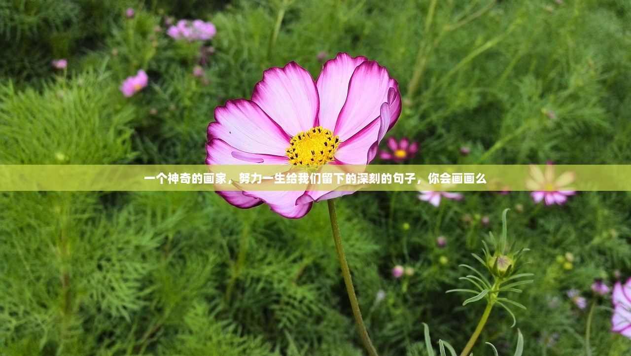 一个神奇的画家，努力一生给我们留下的深刻的句子，你会画画么