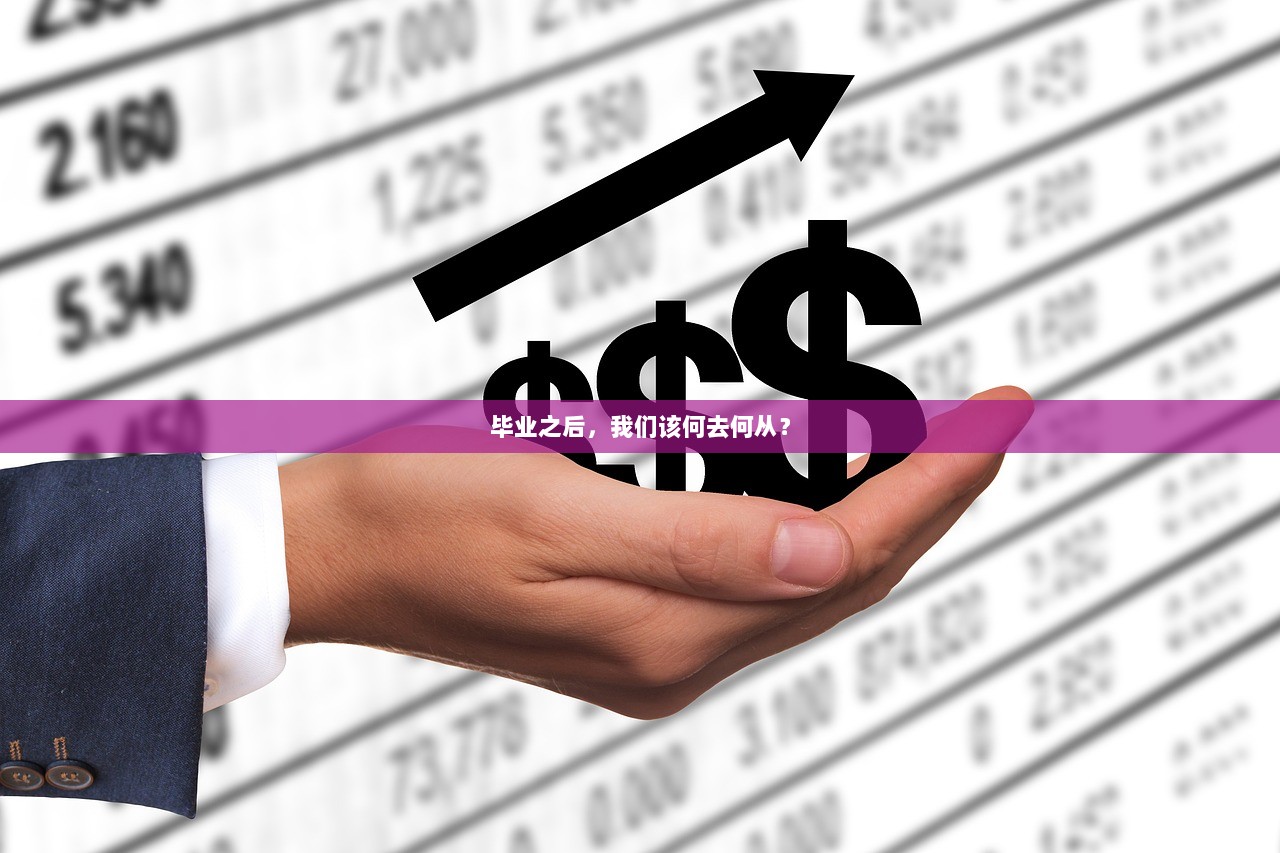 毕业之后，我们该何去何从？