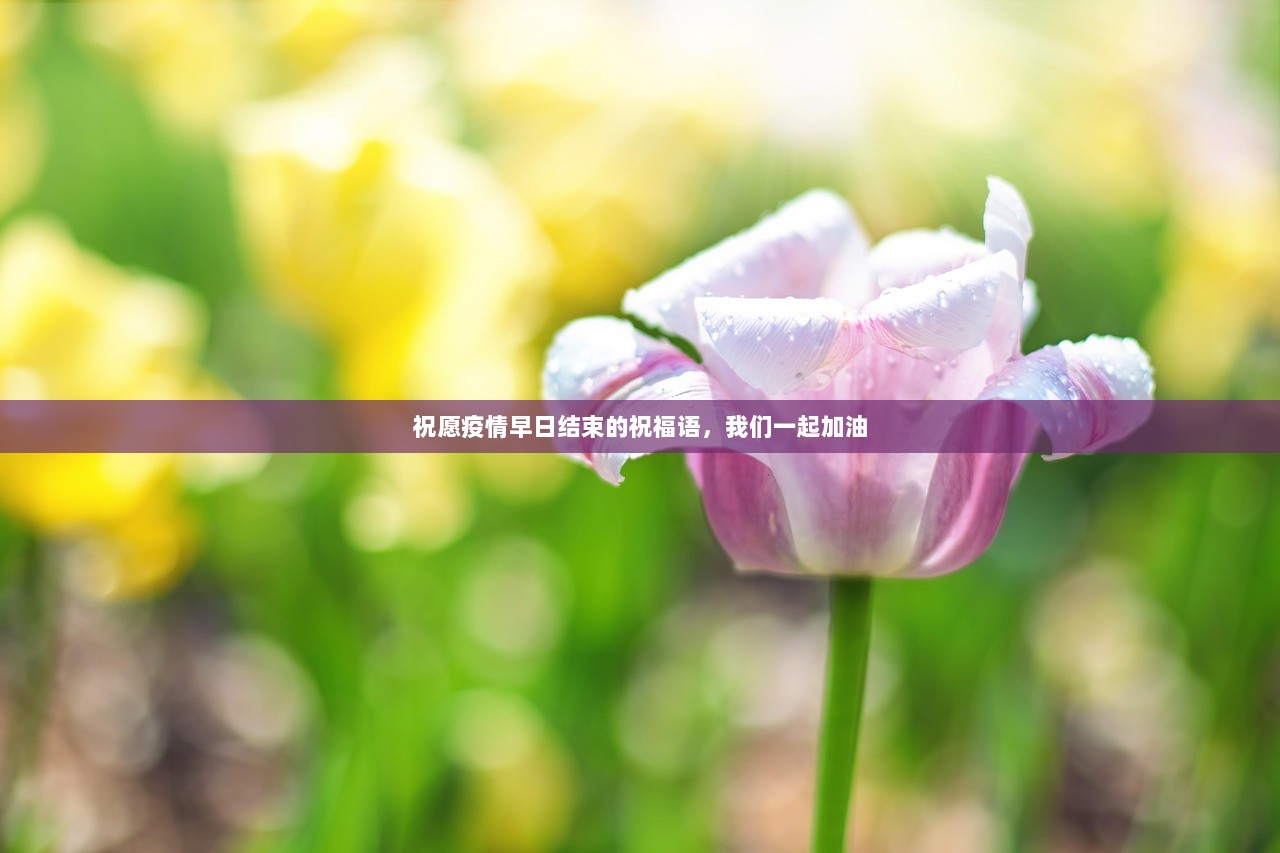 祝愿疫情早日结束的祝福语，我们一起加油