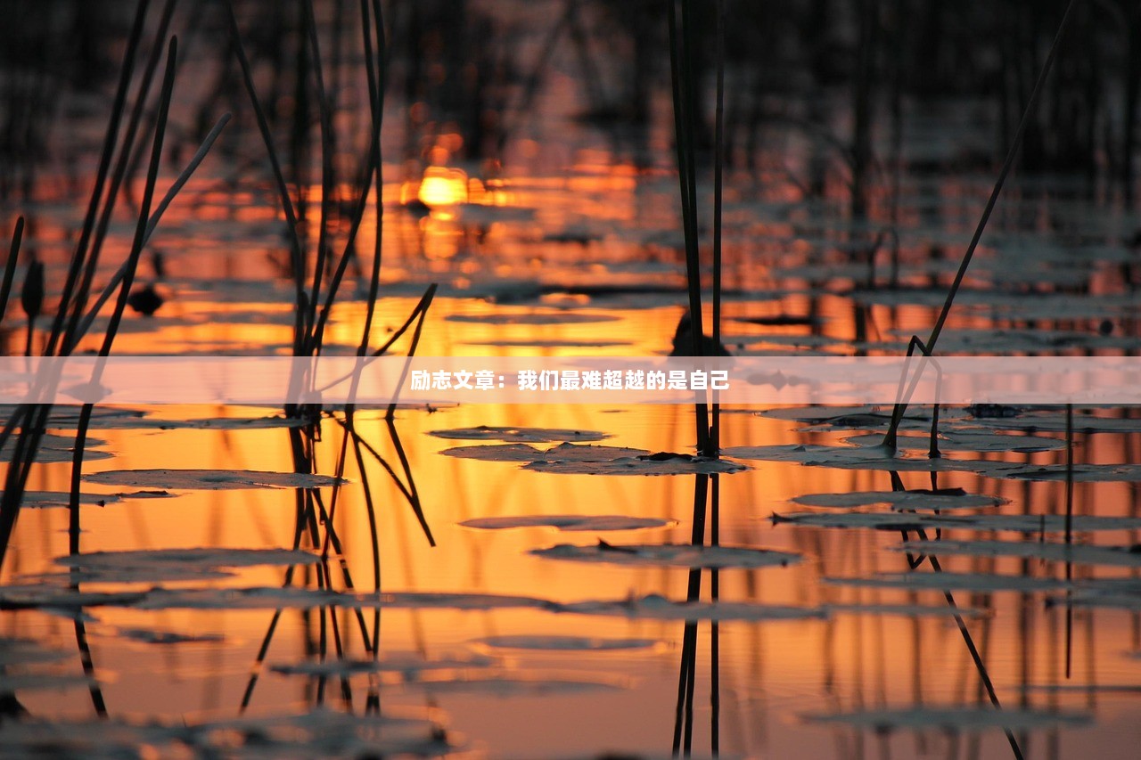 励志文章：我们最难超越的是自己