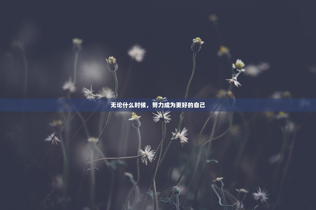 无论什么时候，努力成为更好的自己
