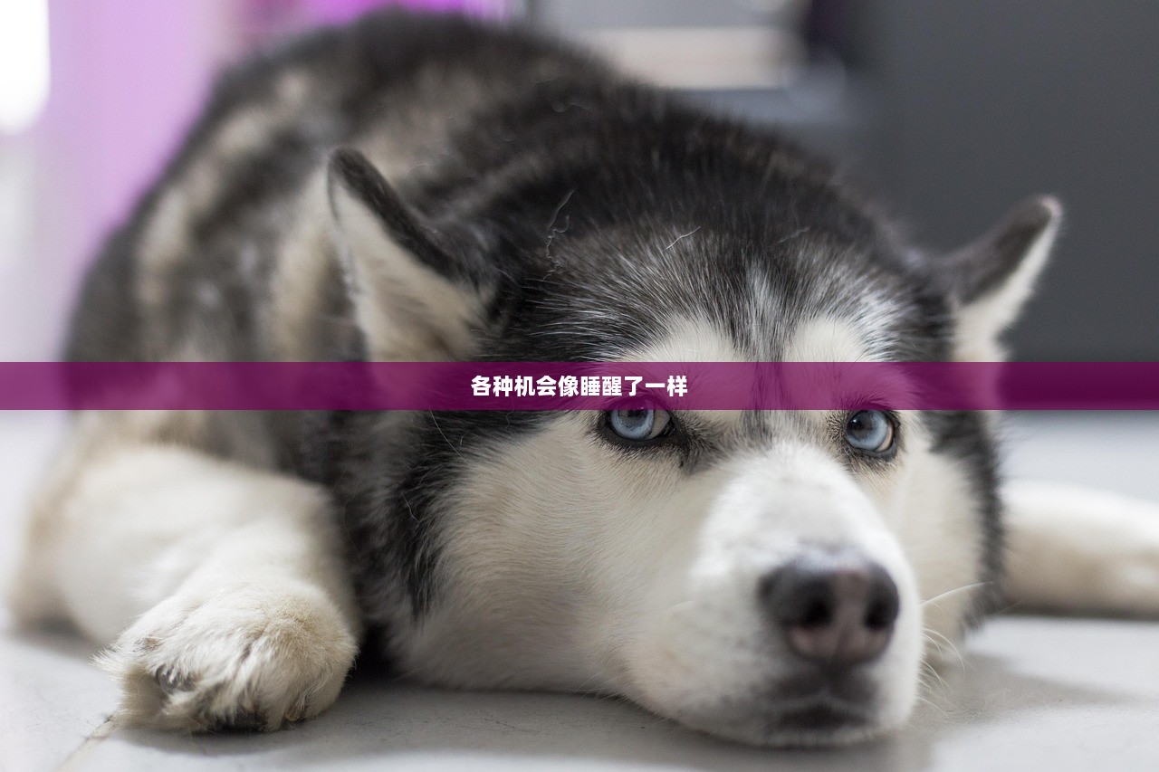 各种机会像睡醒了一样