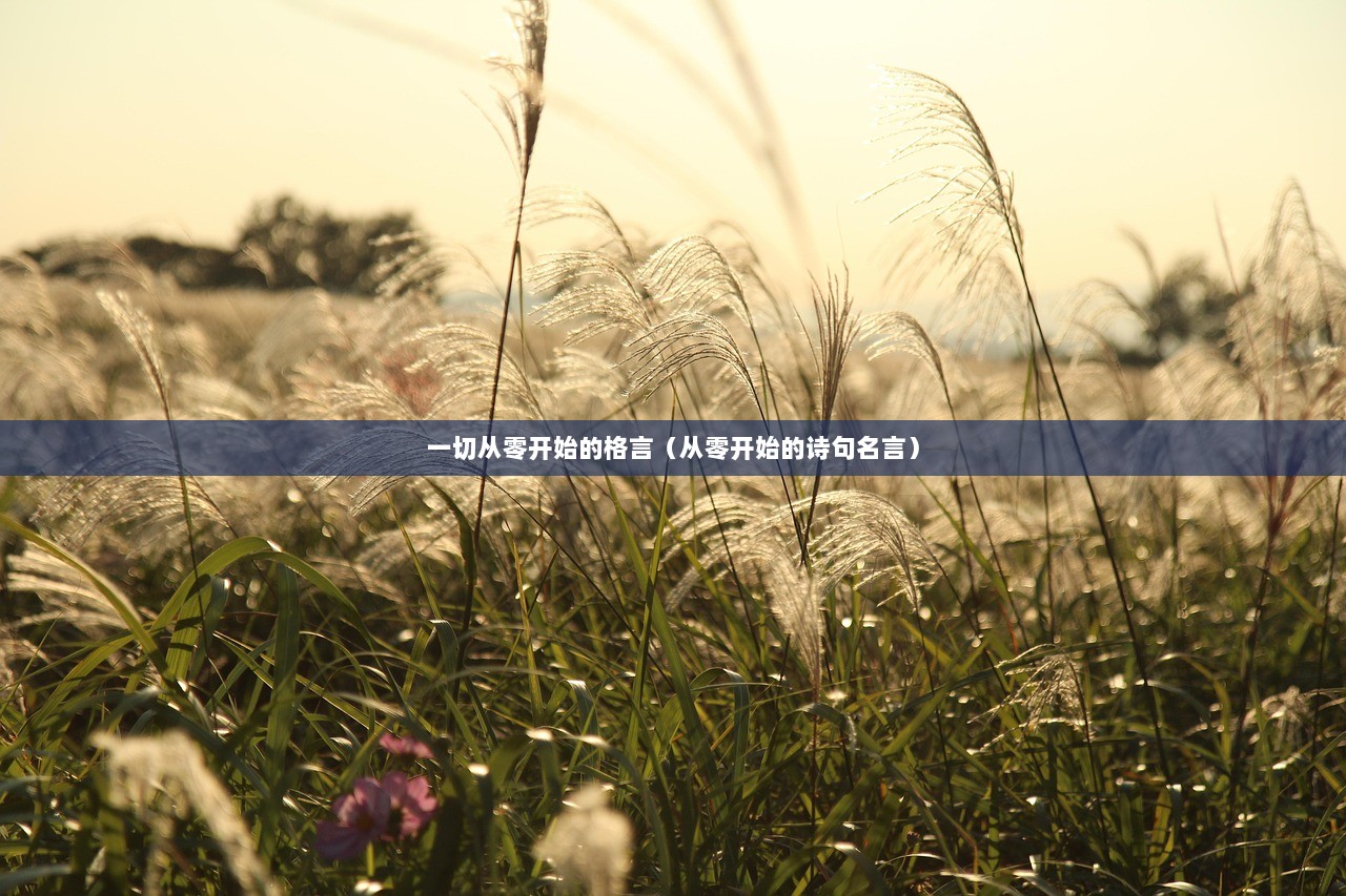 一切从零开始的格言（从零开始的诗句名言）