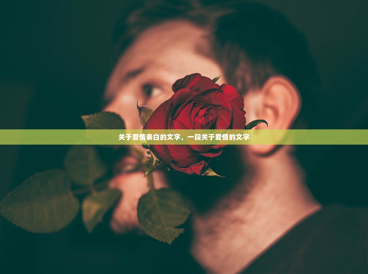 关于爱情表白的文字，一段关于爱情的文字