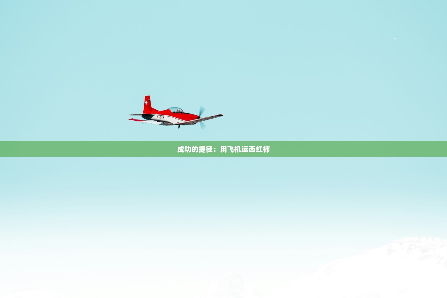 成功的捷径：用飞机运西红柿