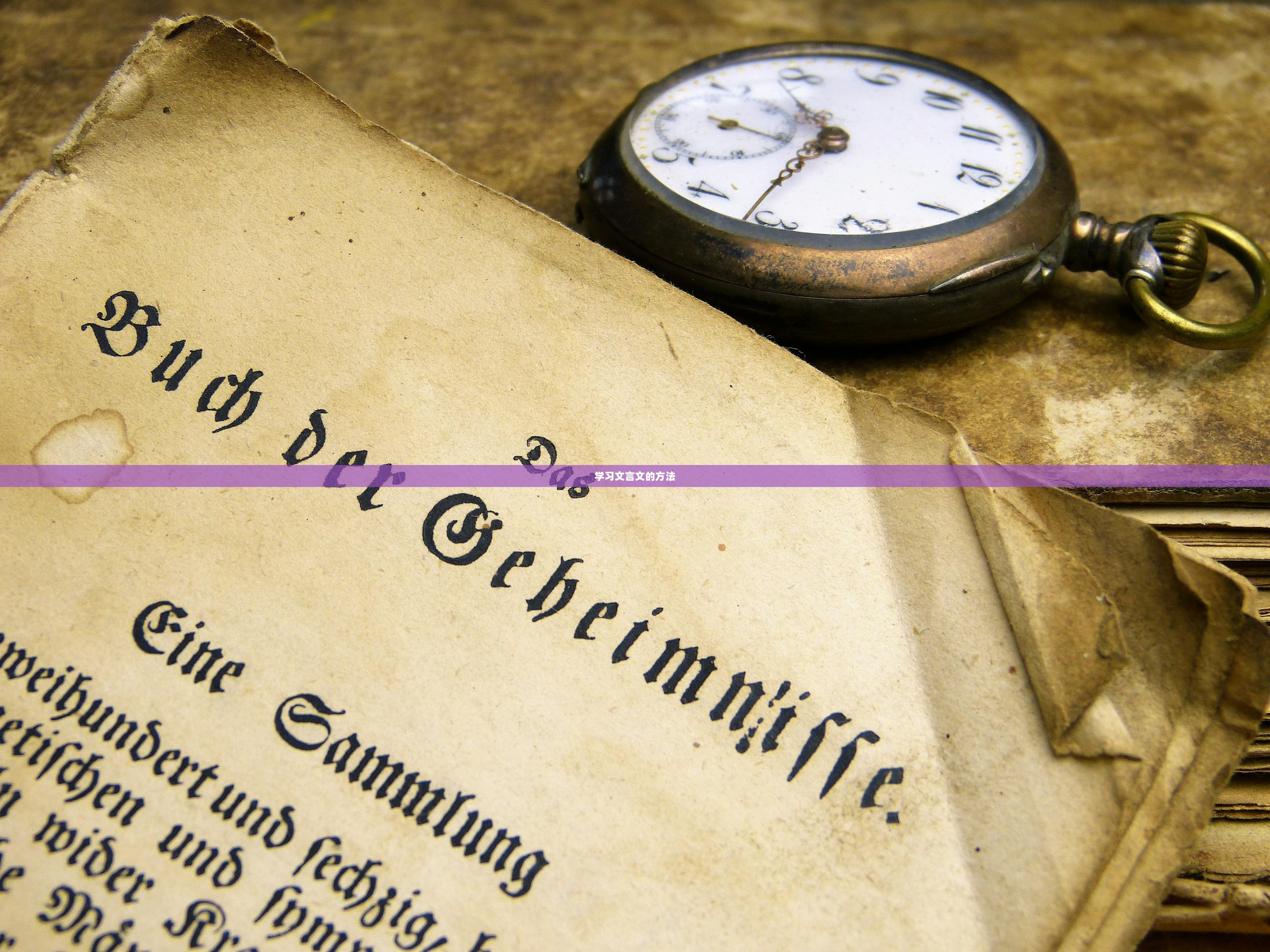 学习文言文的方法